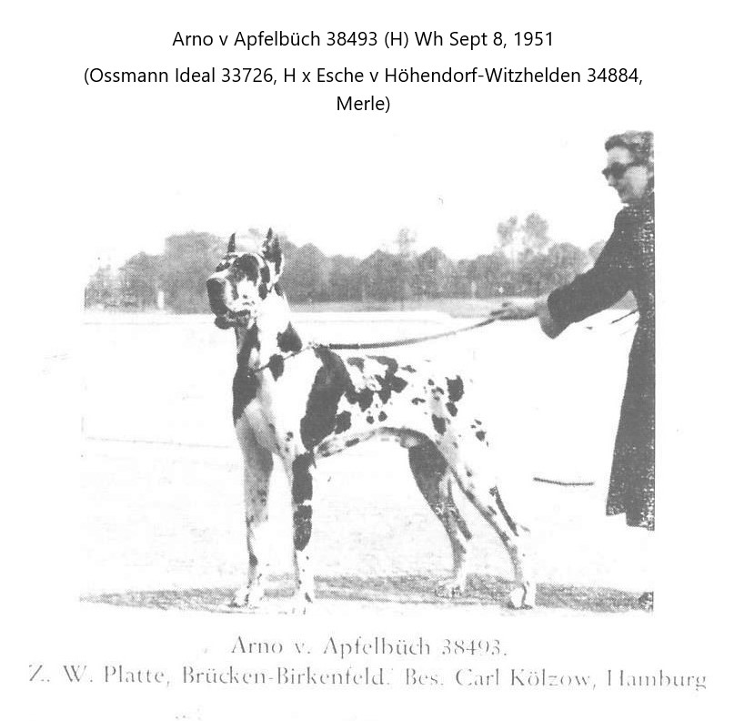 Arno v Apfelbuch